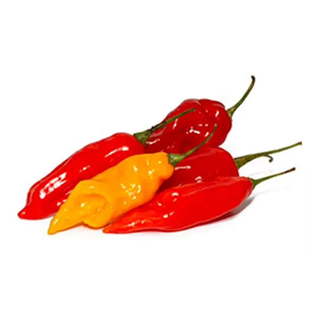 Aji Limo Alibaba