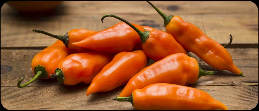 Aji Amarillo Fresco