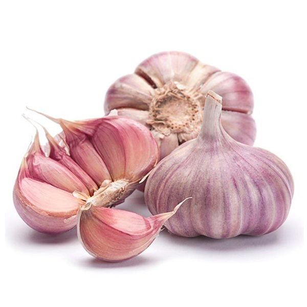 Ajo Latino Viola 200g