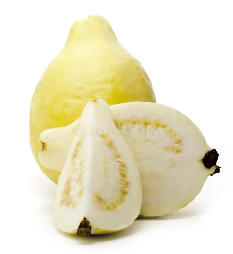 Guayaba Blanca Fresca 