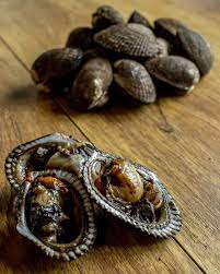 Hongos Y Laurel La Latina
