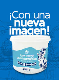 [4609] Nata Estilo Centroamericana 450g