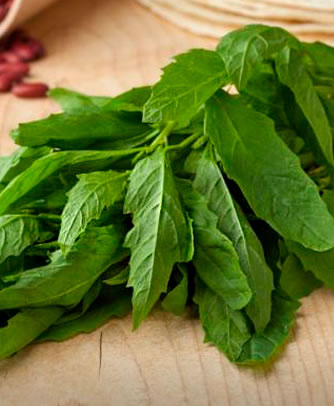 [48339] Hoja De Paico 50G Olla De Barro