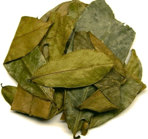 [5436] Hoja De Guanabana Natural 40g