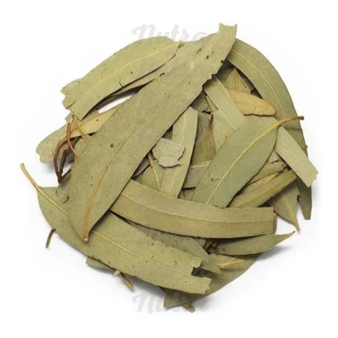 [0390] Hierba Eucalipto  Seca 40g