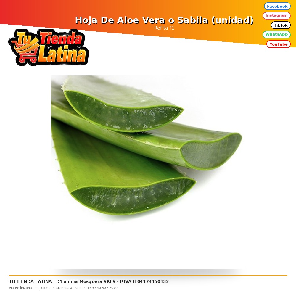 Hoja De Aloe Vera o Sabila (unidad)