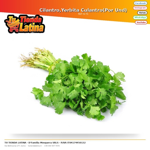 [ro f1] Coriander, Yerbita Culantro (Per Und)